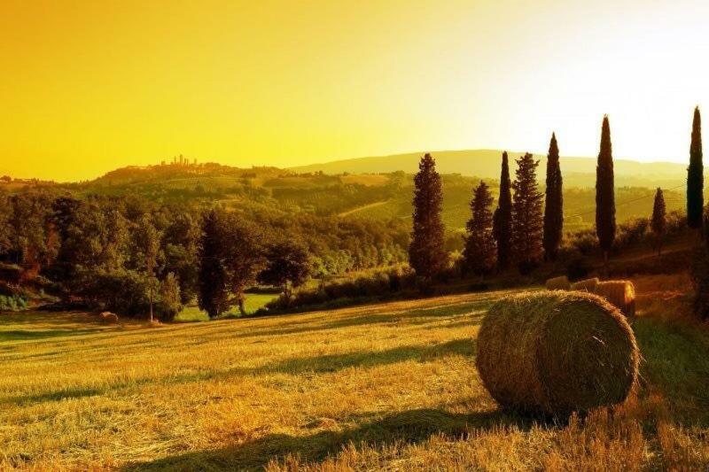 マンチャーノ Il Girasole Terzuoloヴィラ エクステリア 写真